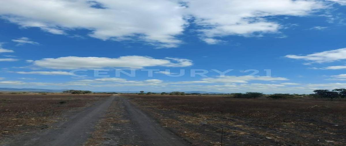 Foto de terreno habitacional en venta en  , gonzález [ejido], gonzález, tamaulipas, 0 No. 05